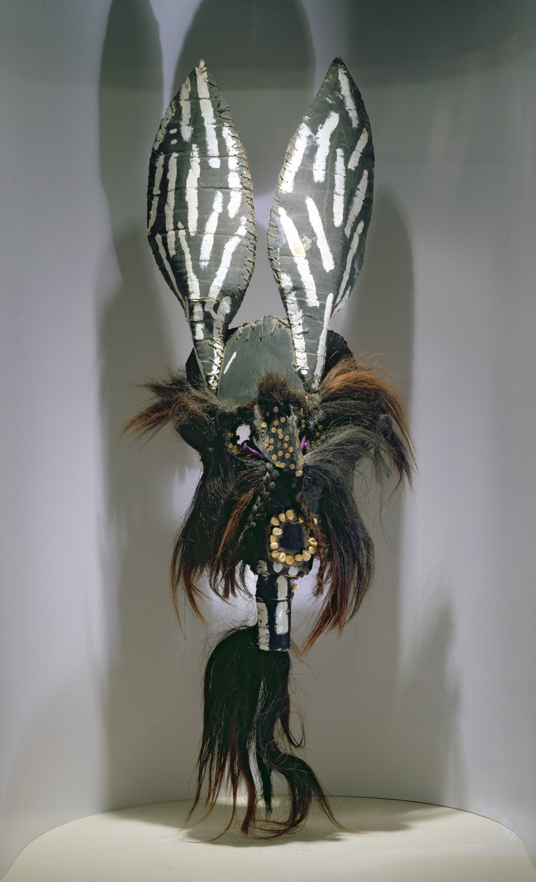 Masque de costume utilisé par les peuples Zapotèques de la région d