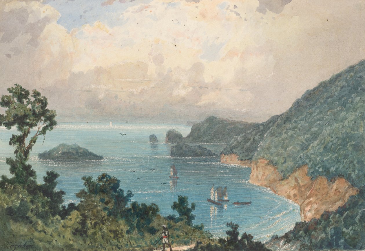 Côte nord de Trinidad, depuis le poste nord - Michel Jean Cazabon