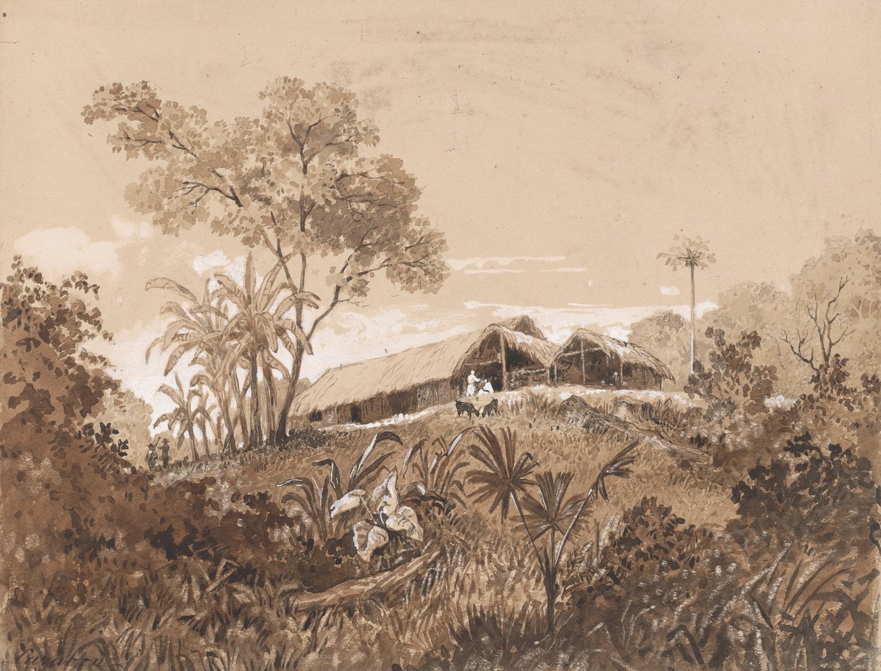 Le Cottage, Mont Tamana - Michel Jean Cazabon