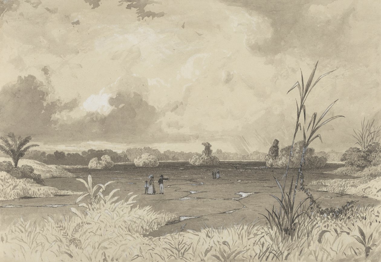 Le lac de bitume - Michel Jean Cazabon