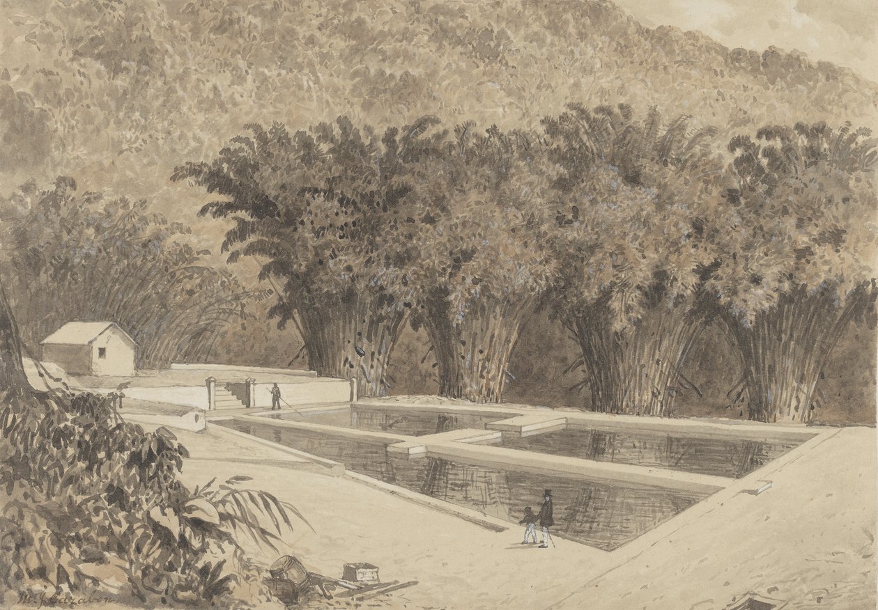 Le réservoir de Maraval - Michel Jean Cazabon