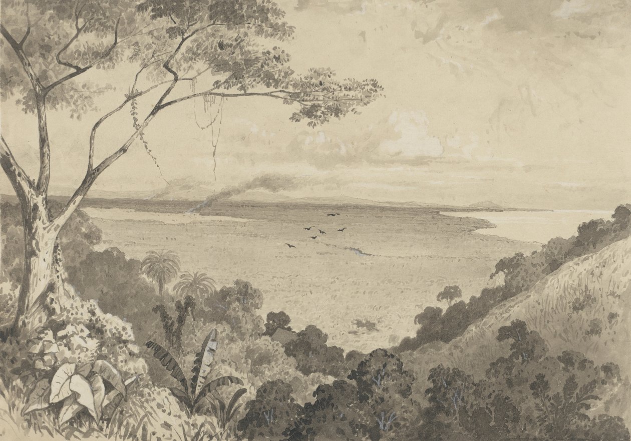 Vue de la colline de Laventille - Michel Jean Cazabon