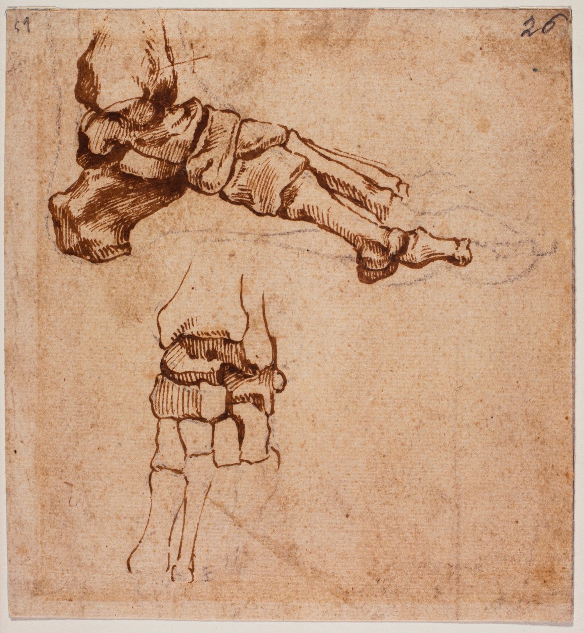 Étude anatomique du pied - Michelangelo (after) Buonarroti