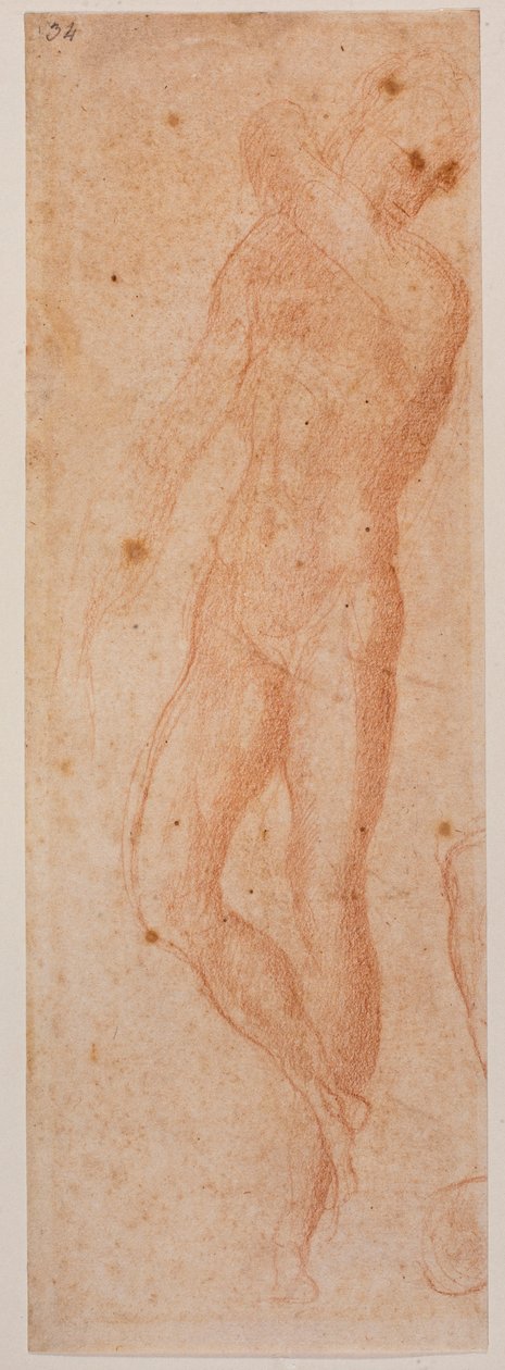 Études de nu masculin - Michelangelo (after) Buonarroti