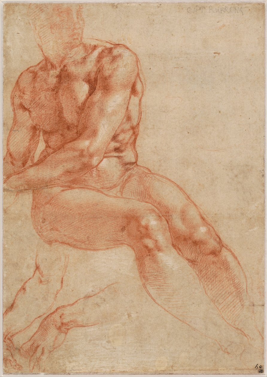 Jeune homme assis et deux études de bras (recto), vers 1510-11 - Michelangelo