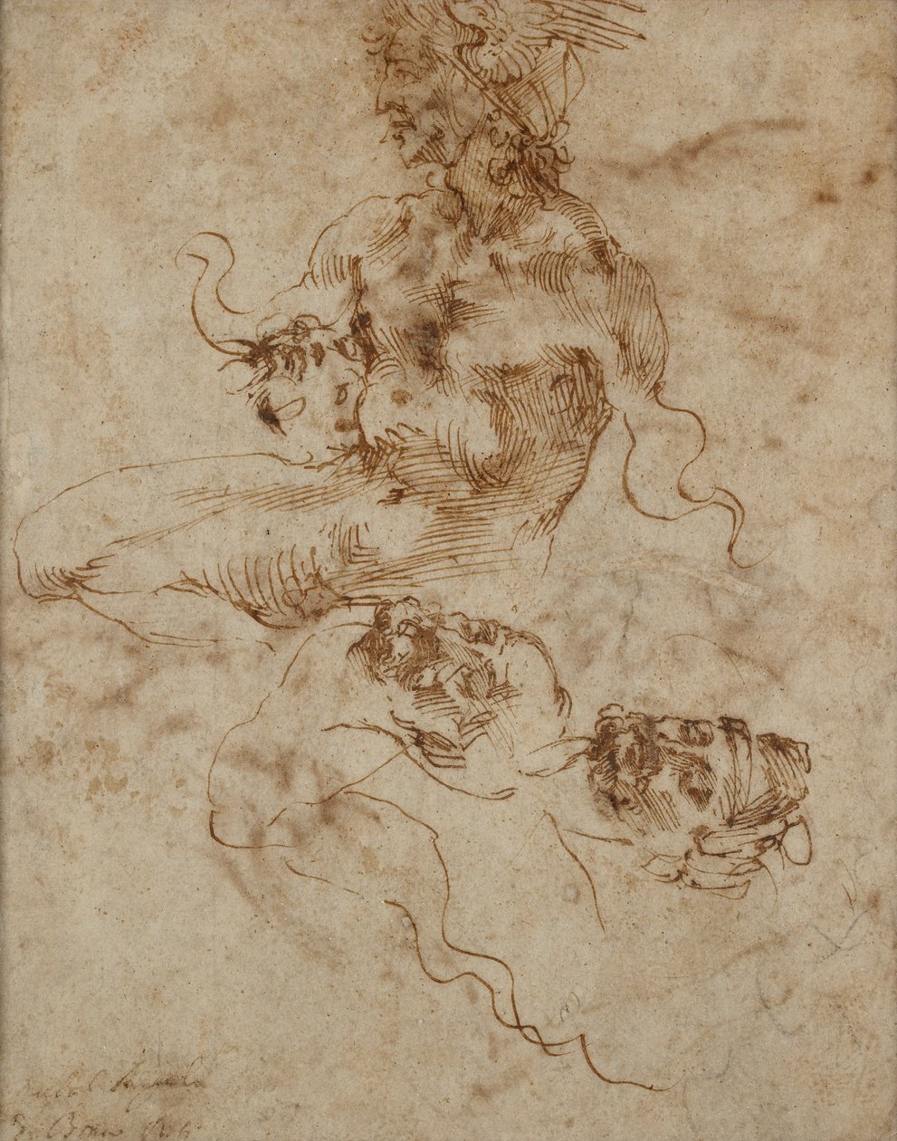 Figure ressemblant à un triton - Michelangelo Buonarroti