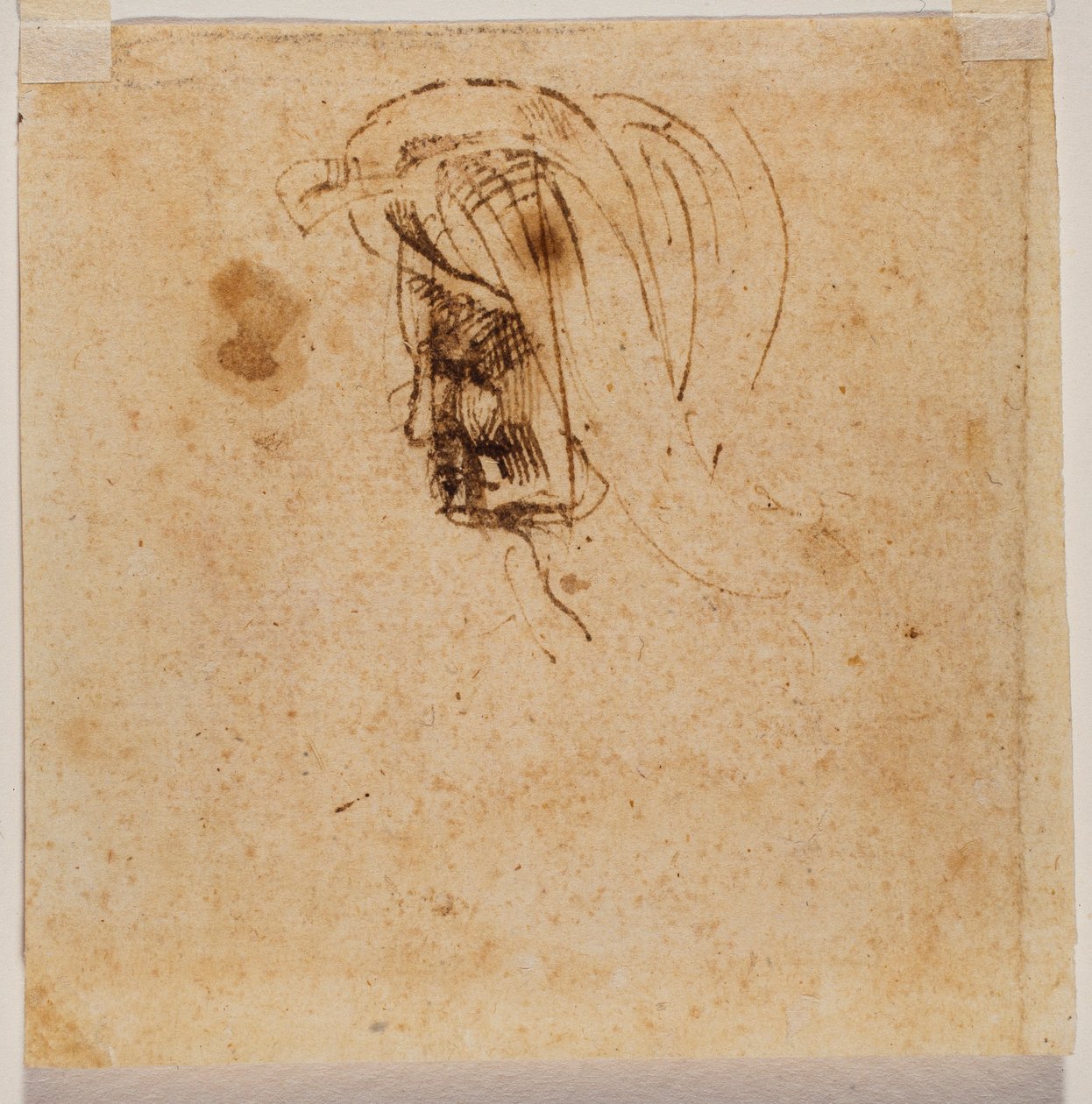 Tête féminine - Michelangelo Buonarroti