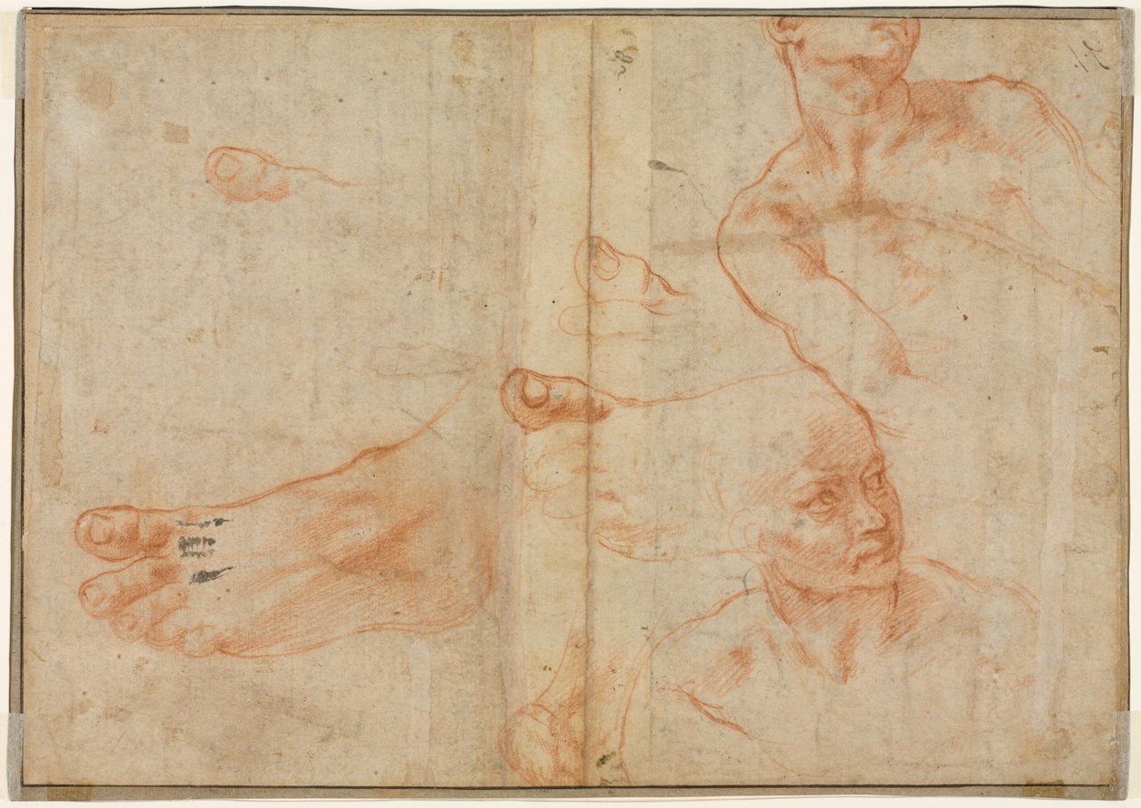 Études de figures pour le plafond de la chapelle Sixtine (verso) - Michelangelo Buonarroti