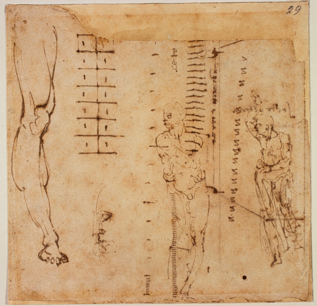 Études de figures - Michelangelo Buonarroti