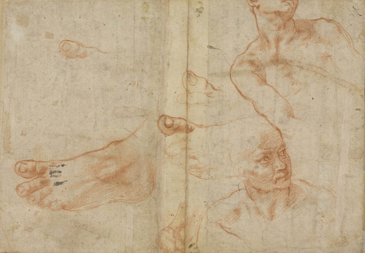 Études de figures pour le plafond de la chapelle Sixtine - Michelangelo Buonarroti