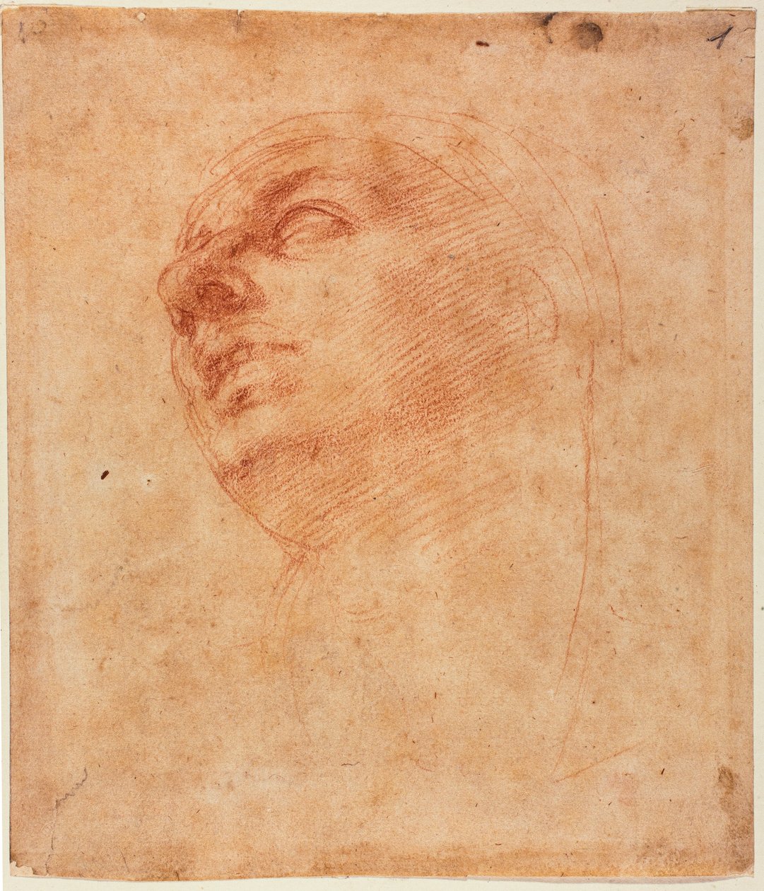 Étude de tête pour le Jonas de la Sixtine - Michelangelo Buonarroti