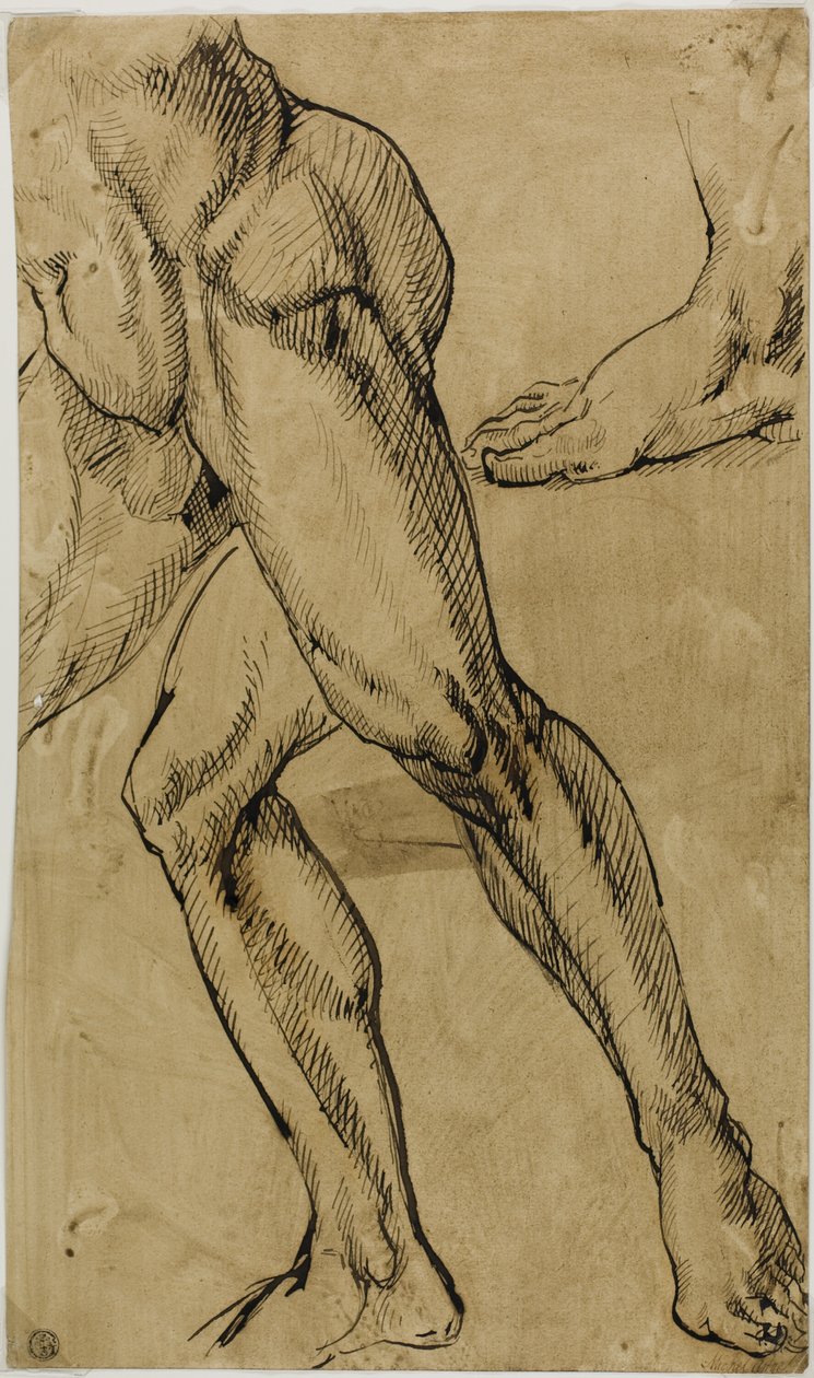 Jambes et pieds de nu masculin - Michelangelo Buonarroti