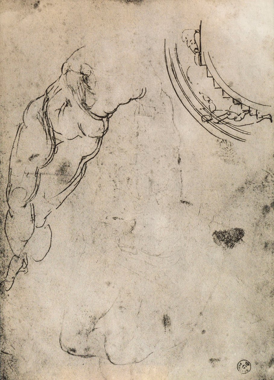 Jambes masculines - Michelangelo Buonarroti