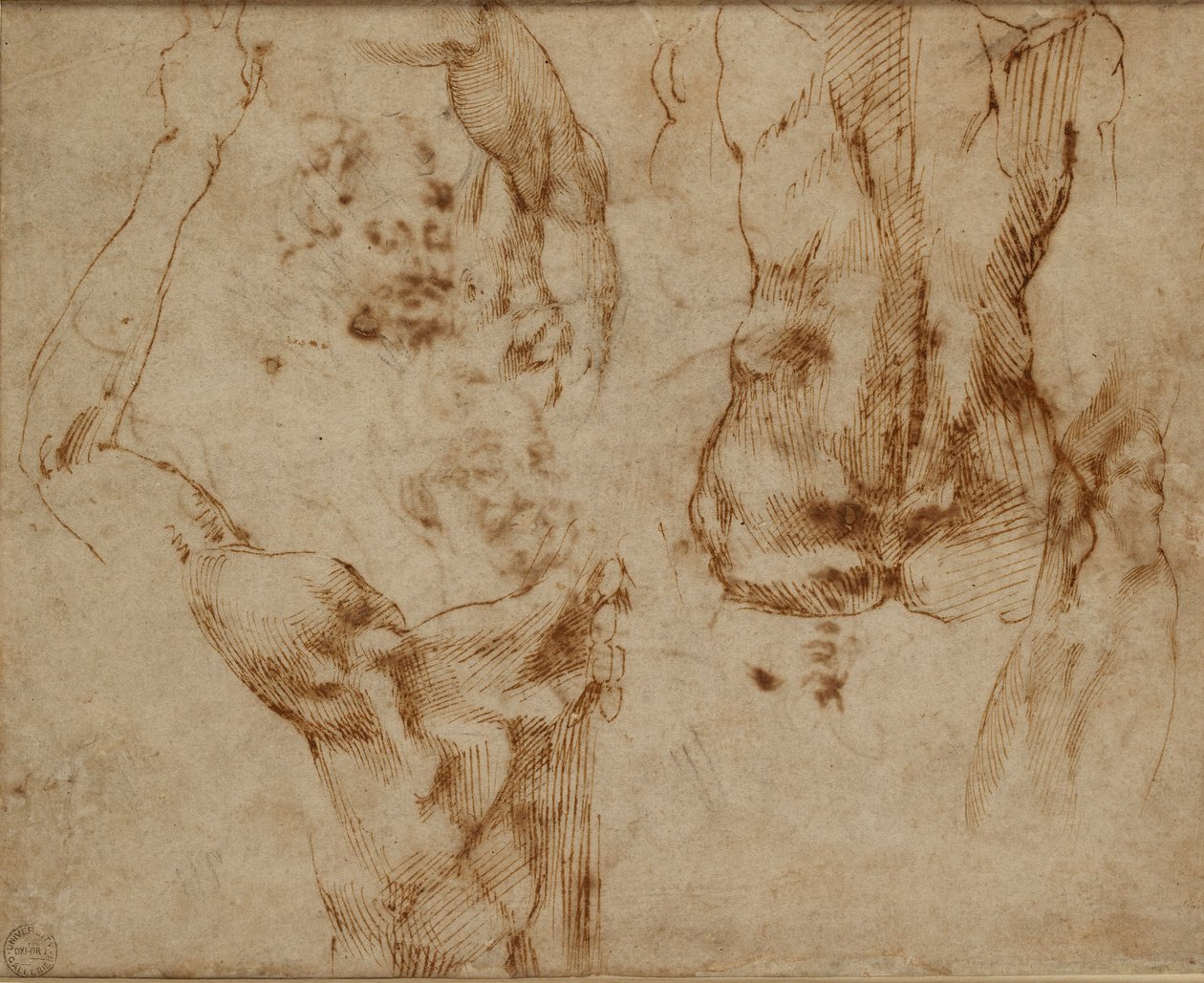 Études de nus - Michelangelo Buonarroti