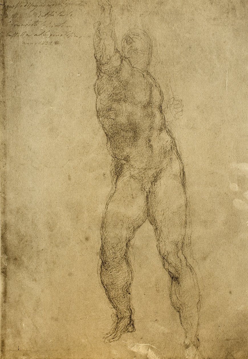 Étude de nu - Michelangelo Buonarroti