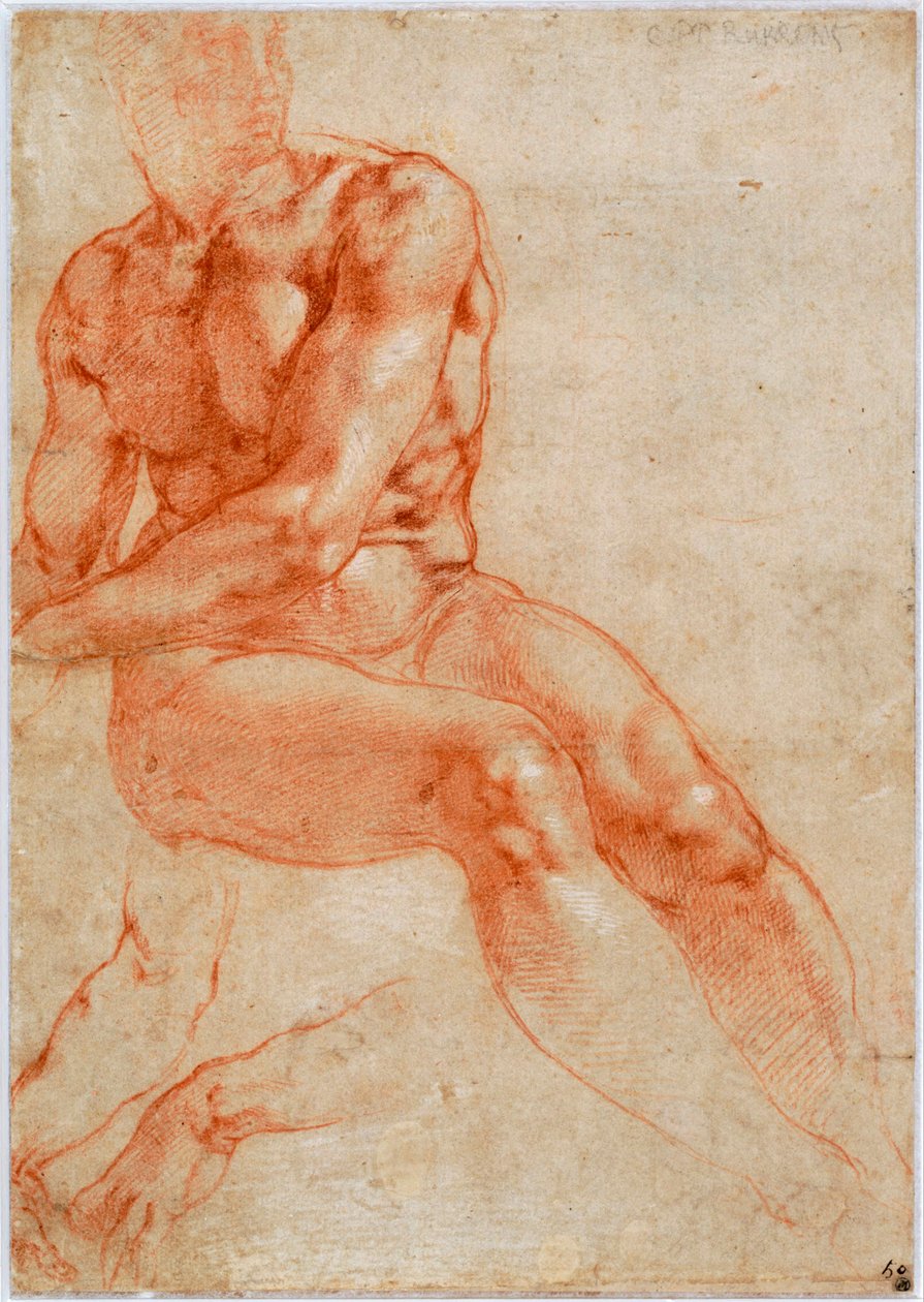 Jeune homme nu assis et deux études de bras, vers 1510-1511 - Michelangelo Buonarroti