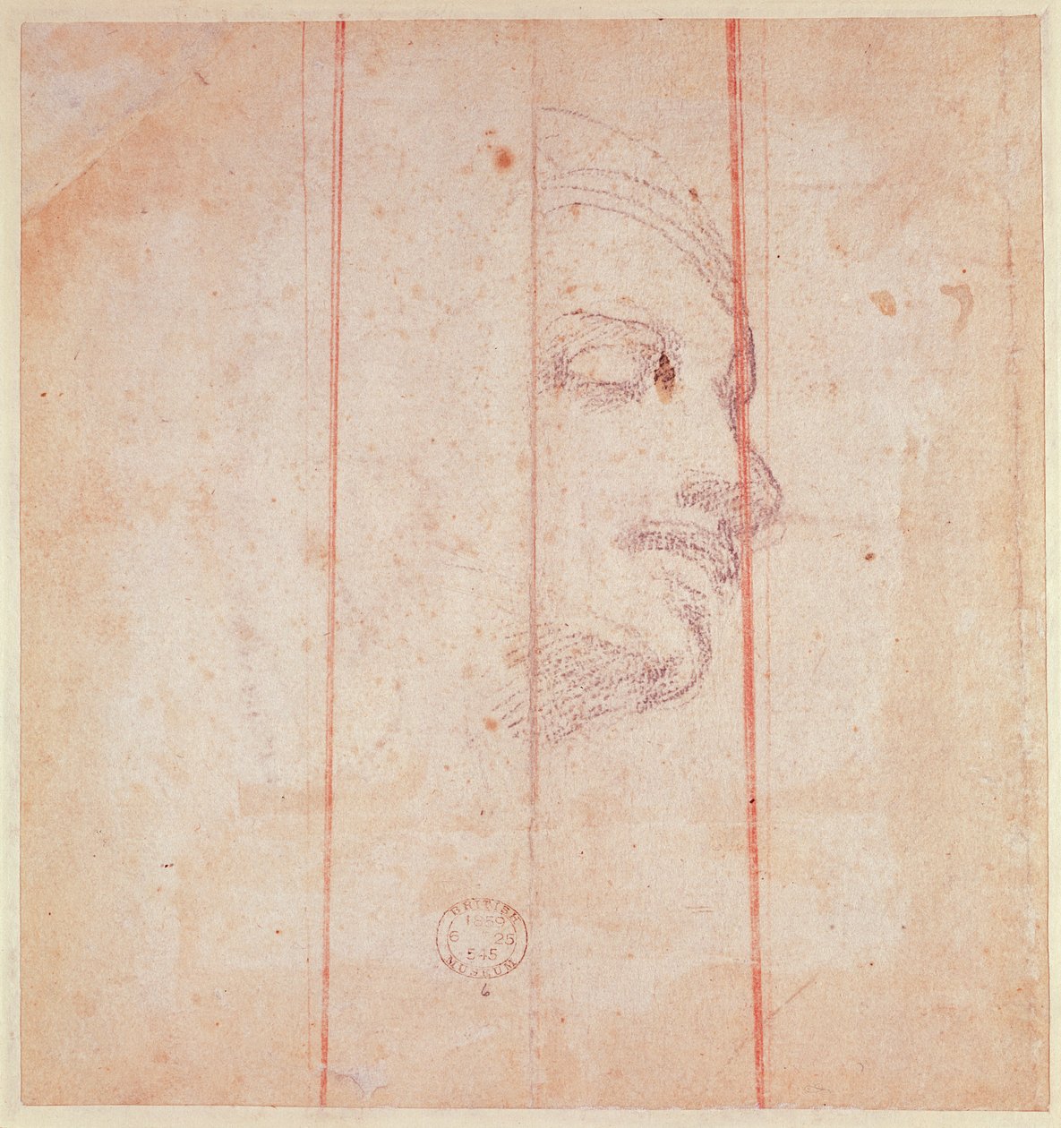 Étude pour la tête de la Sibylle libyenne - Michelangelo Buonarroti
