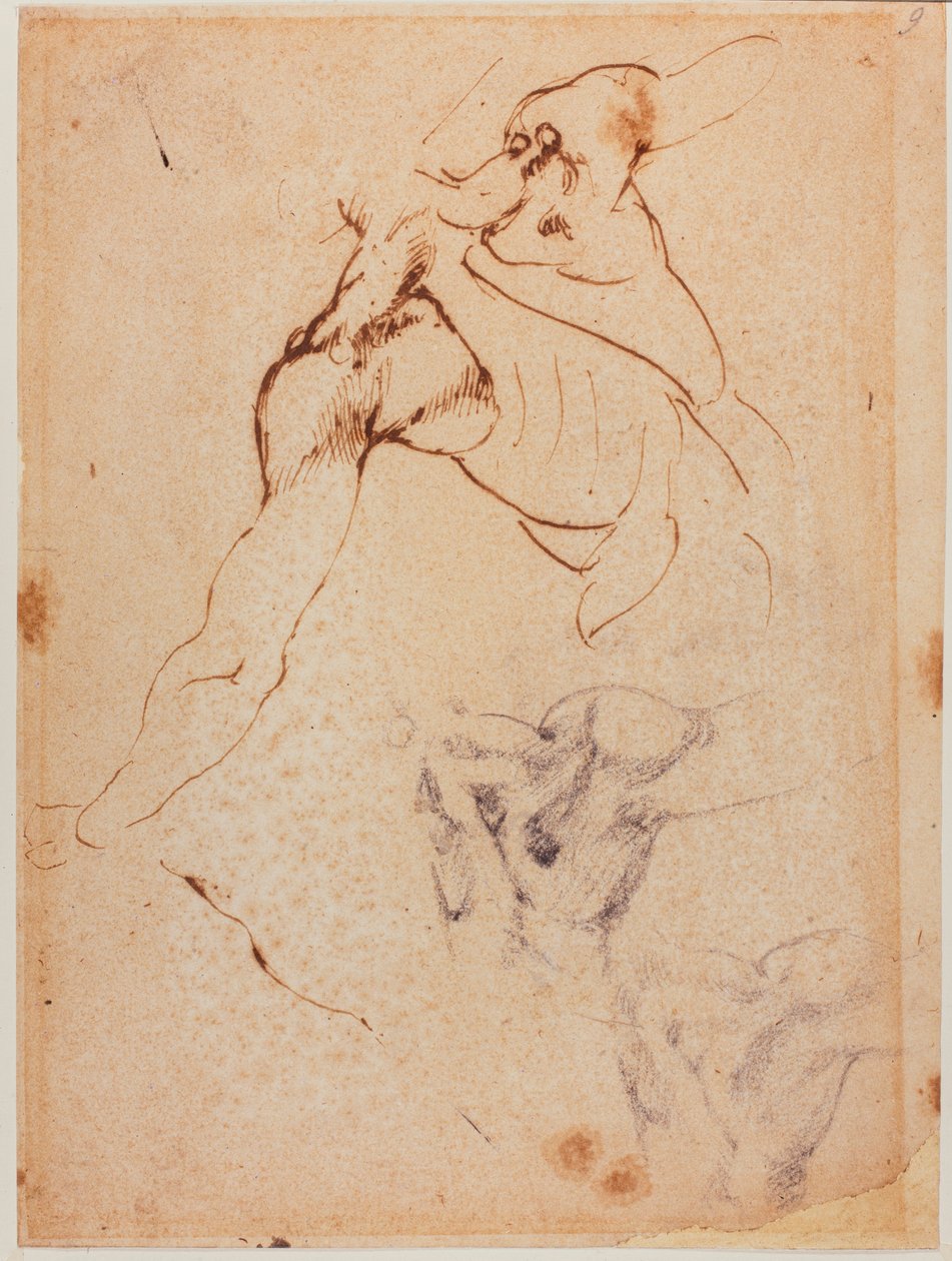 Étude de torse pour la 