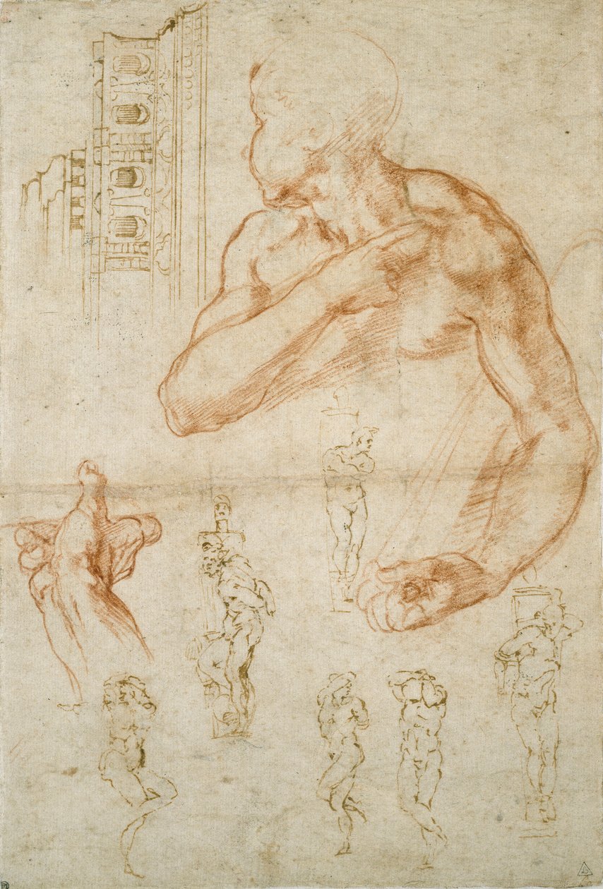 Diverses études pour le plafond de la chapelle Sixtine et le tombeau du pape Jules II, vers 1490-1560 - Michelangelo Buonarroti