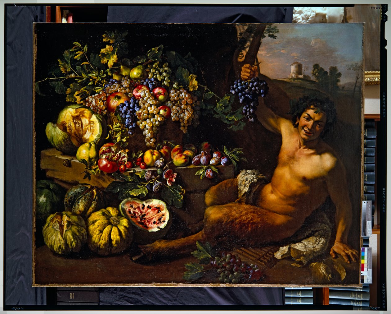 Nature morte avec un satyre dans un paysage - Michelangelo Cerquozzi