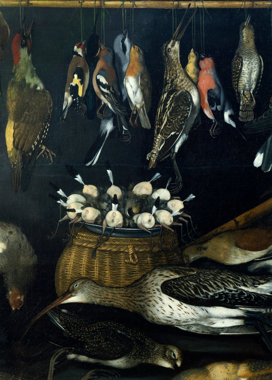 Nature morte avec oiseaux (détail) - Michelangelo Merisi da Caravaggio