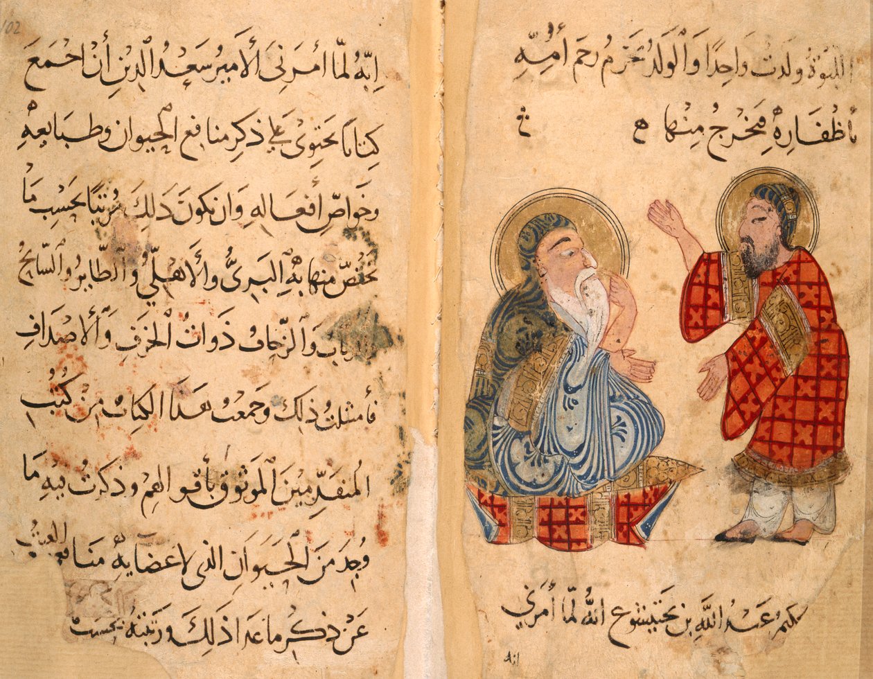 Page de texte et illustration d