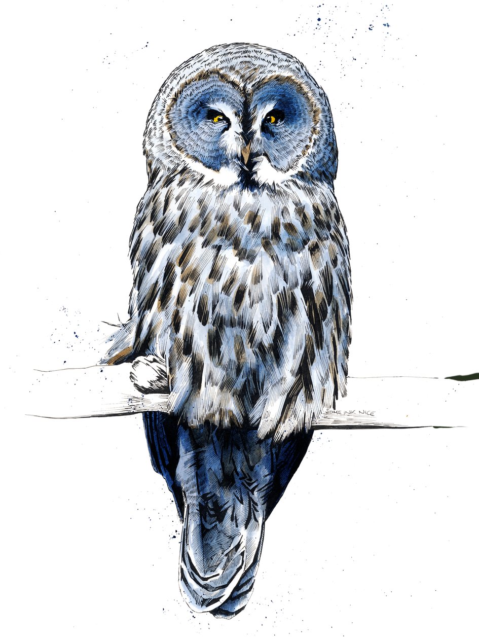 Le Grand Hibou Gris sur Blanc, 2019 - Mike Davis