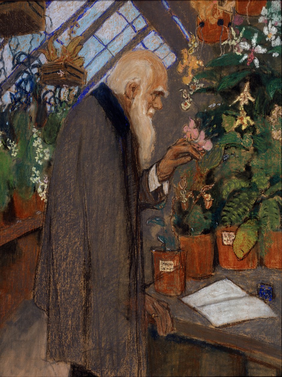 Portrait du scientifique Charles Robert Darwin examinant des plantes dans la serre Langdon-Down - Mikhail Dmitrievich Ezuchevsky
