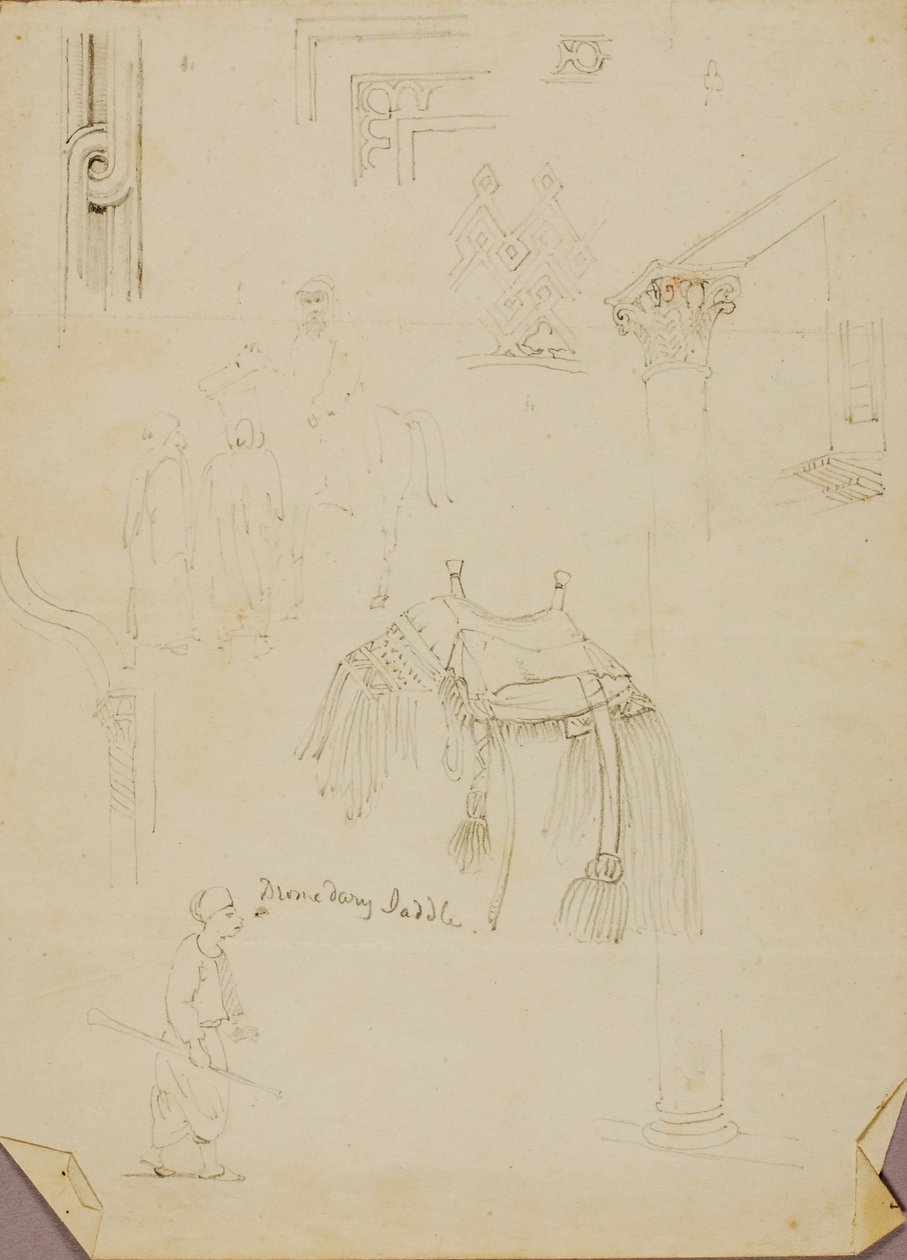 Selle de dromadaire/étudiants - Miner Kilbourne Kellogg