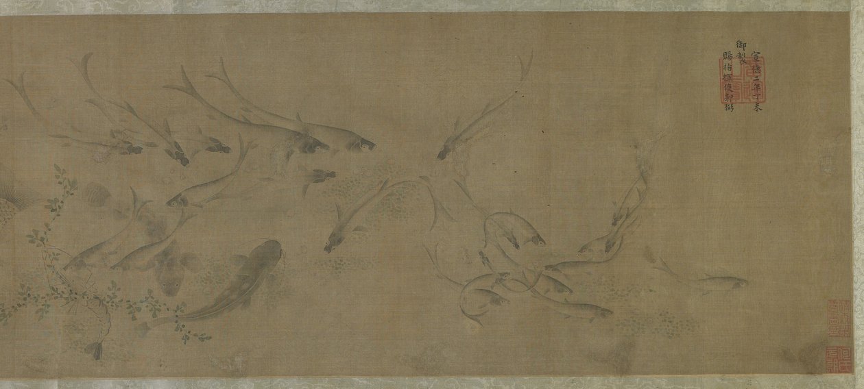 Poissons et herbes aquatiques - Ming Dynasty Chinese School