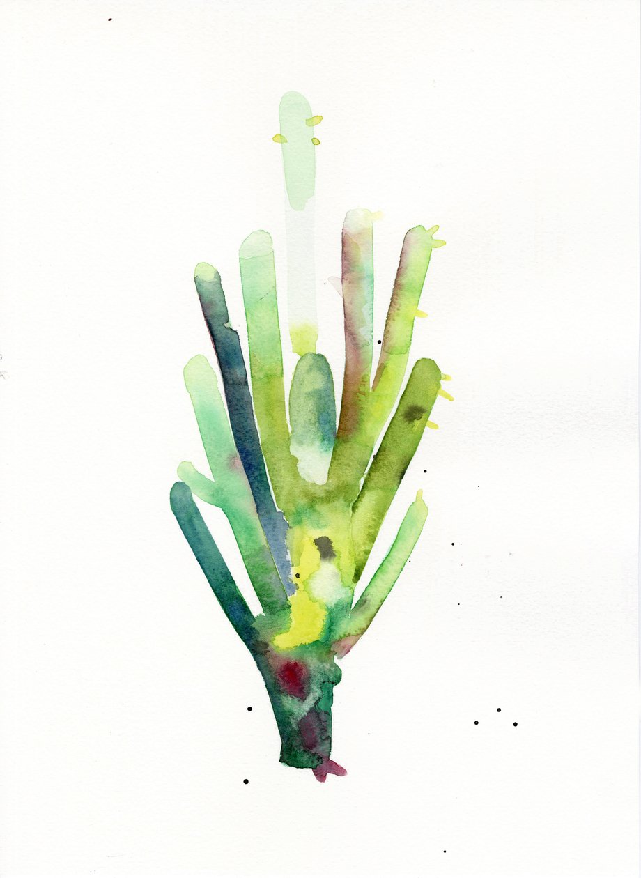 Cardon2 - Monica Perez Vega