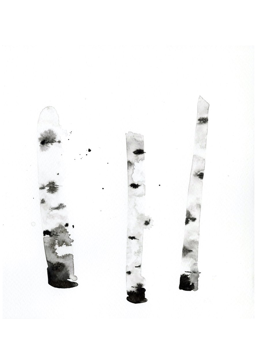Bouleau fantôme, 2022 - Monica Perez Vega