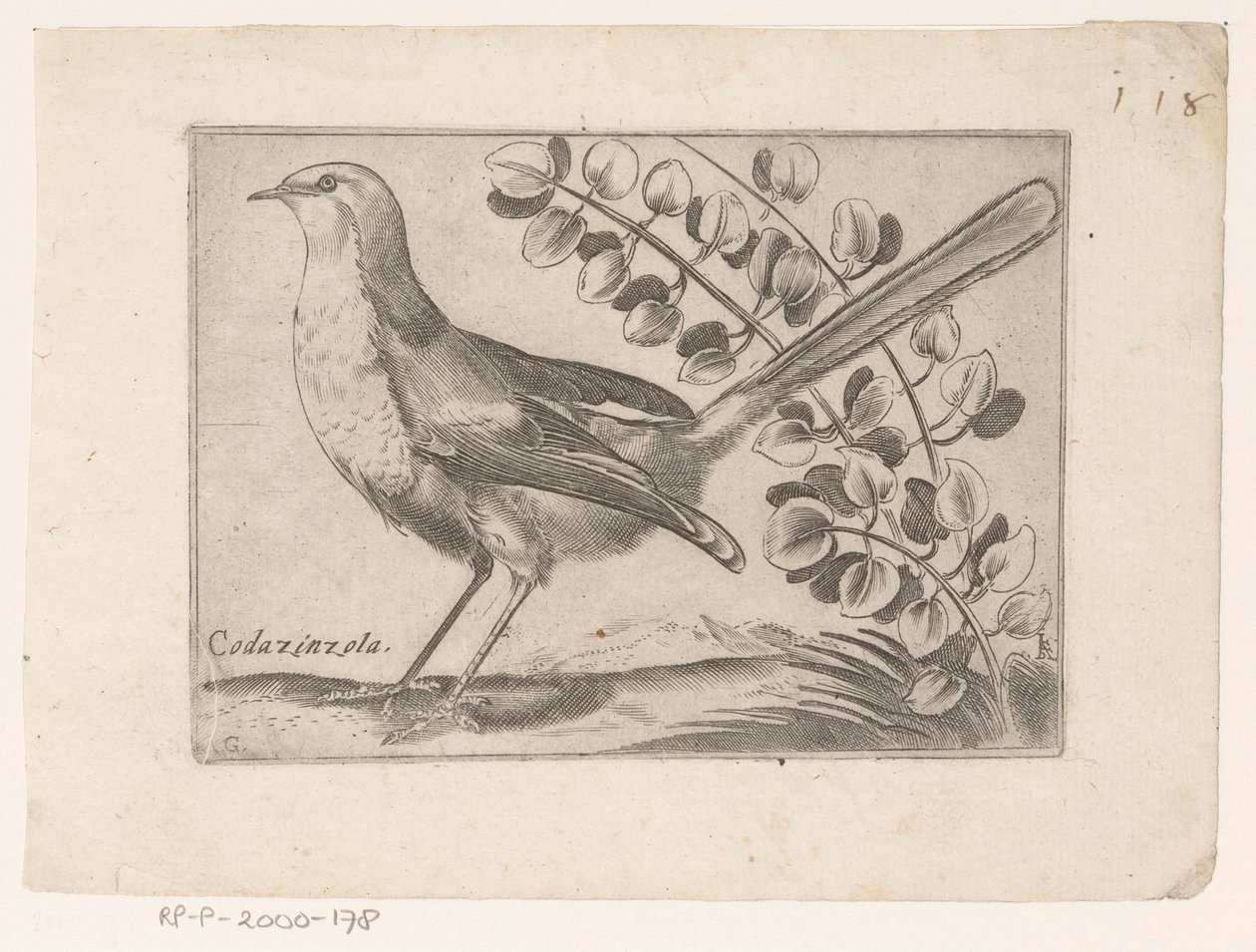 Oiseau - Monogrammist AG
