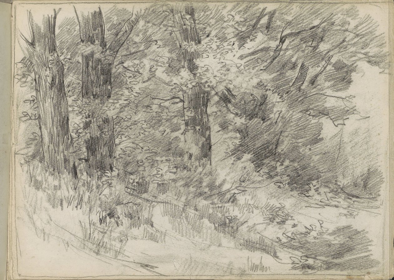 Paysage forestier - Monogrammist DS (tekenaar)