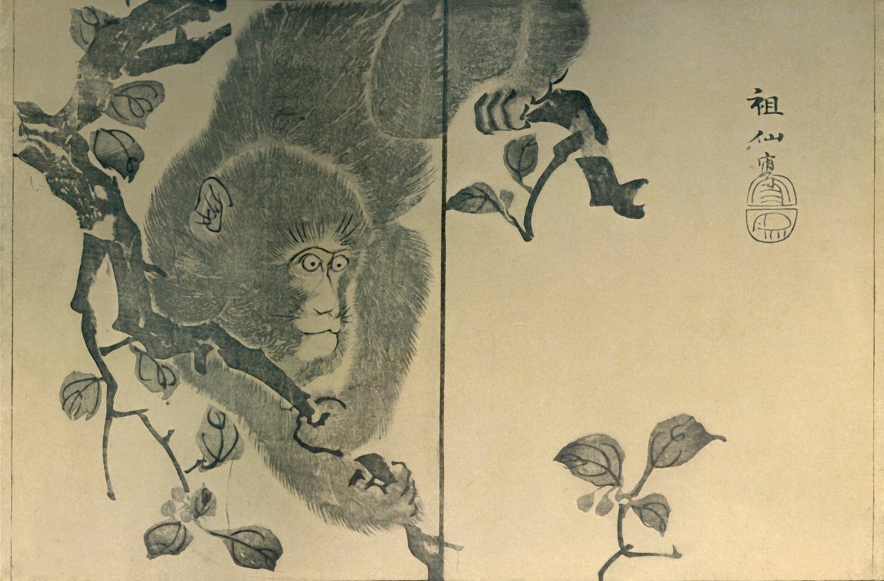 Singe, 1815, 1924 - Mori Sosen