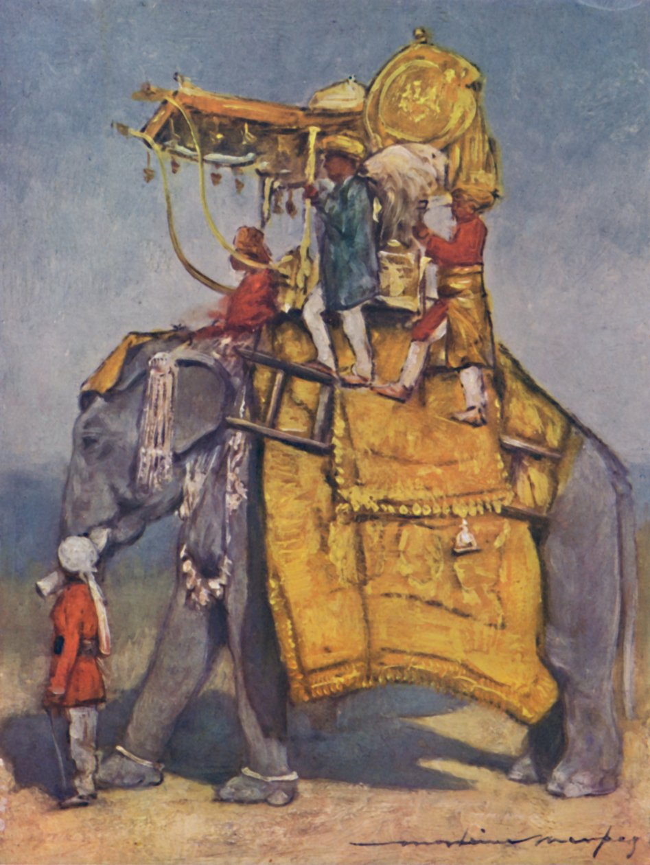 Un éléphant d