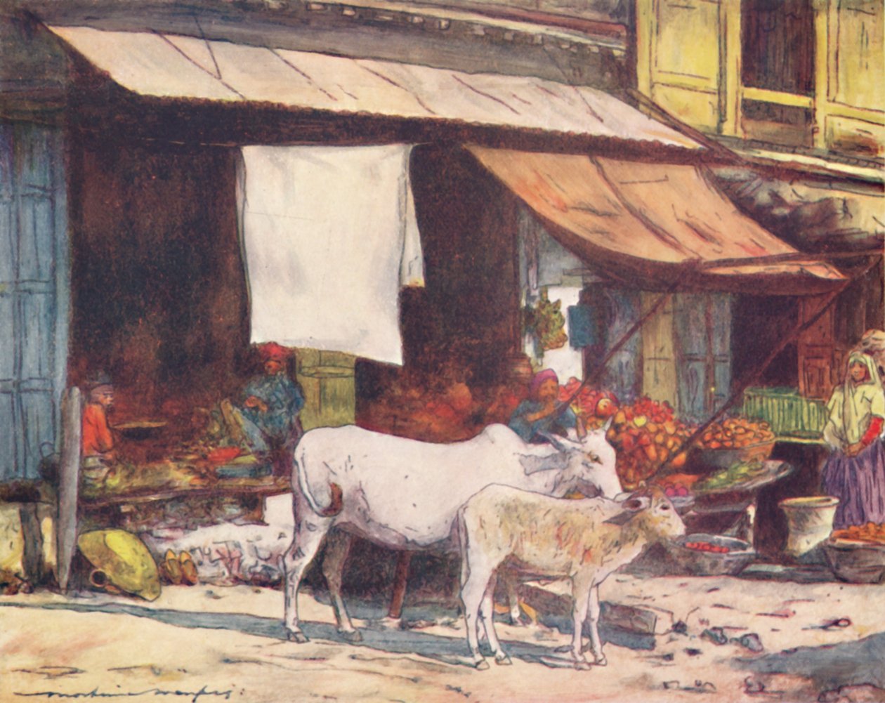 Un coin du marché aux fruits, Delhi - Mortimer Ludington Menpes