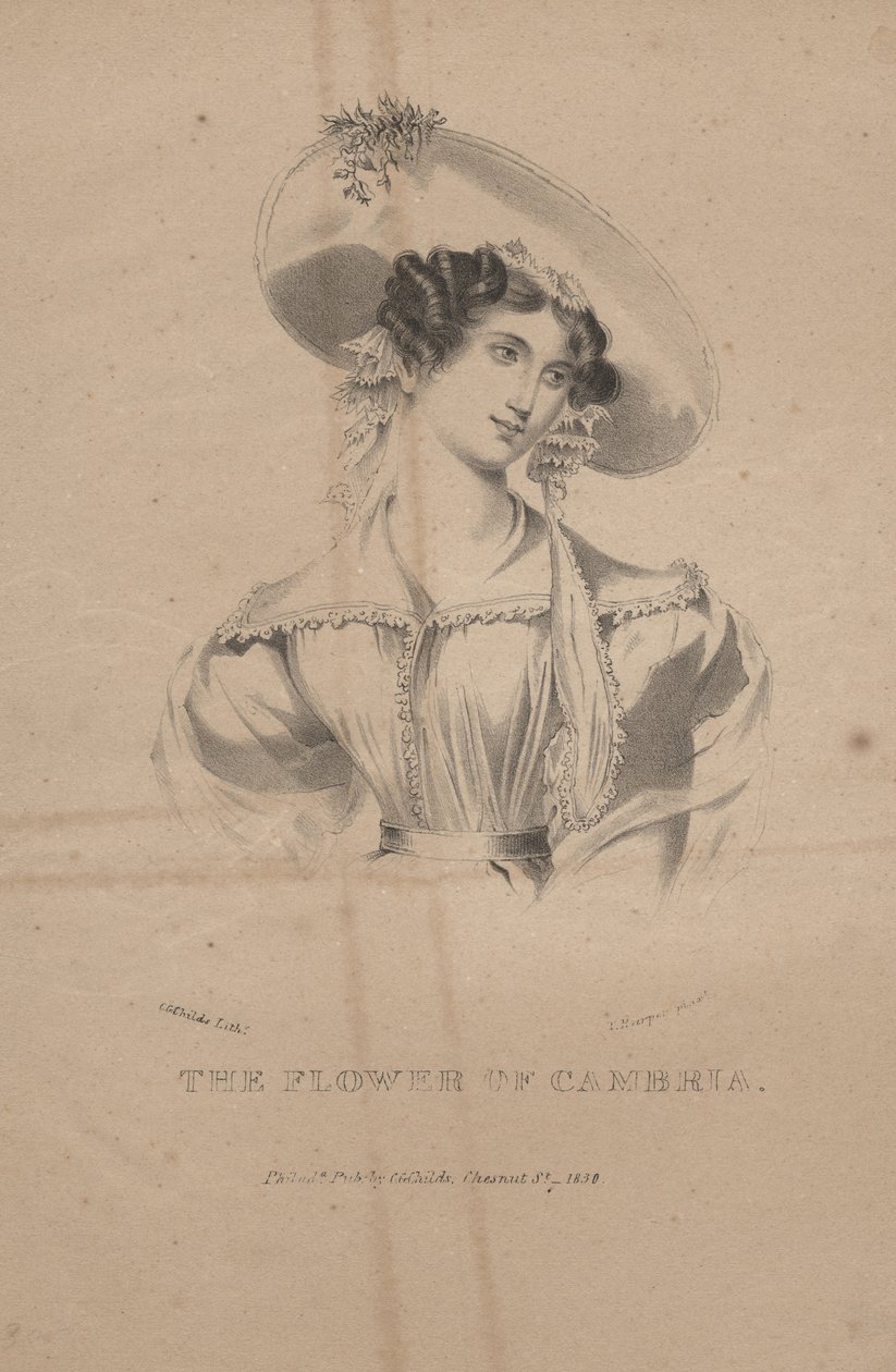 La fleur de Cambria, lithographie par C.G. Childs, 1830 - Moses Swett