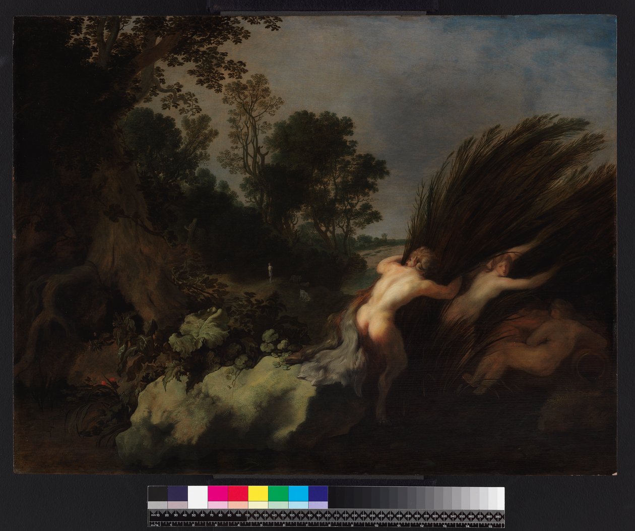 Paysage boisé avec Pan et Syrinx, avant 1648 - Moyses or Moses Matheusz. van Uyttenbroeck