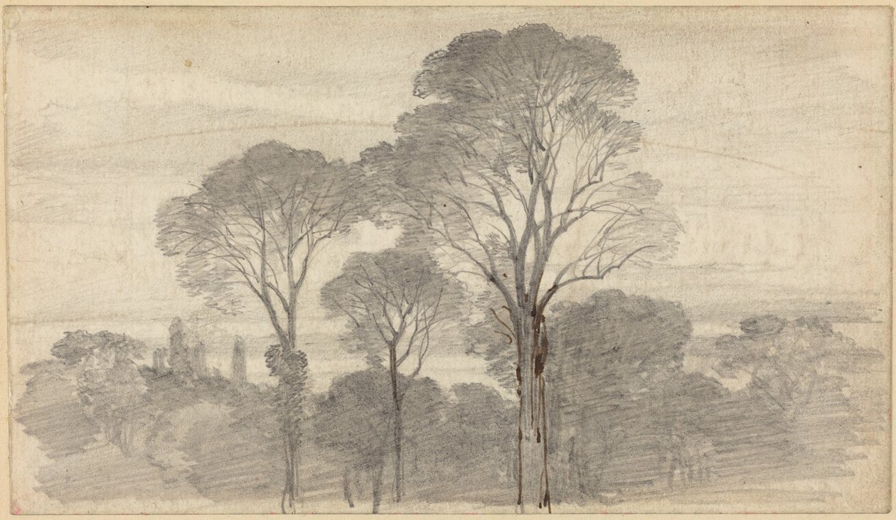 Un paysage du soir avec de grands arbres - Myles Birket Foster