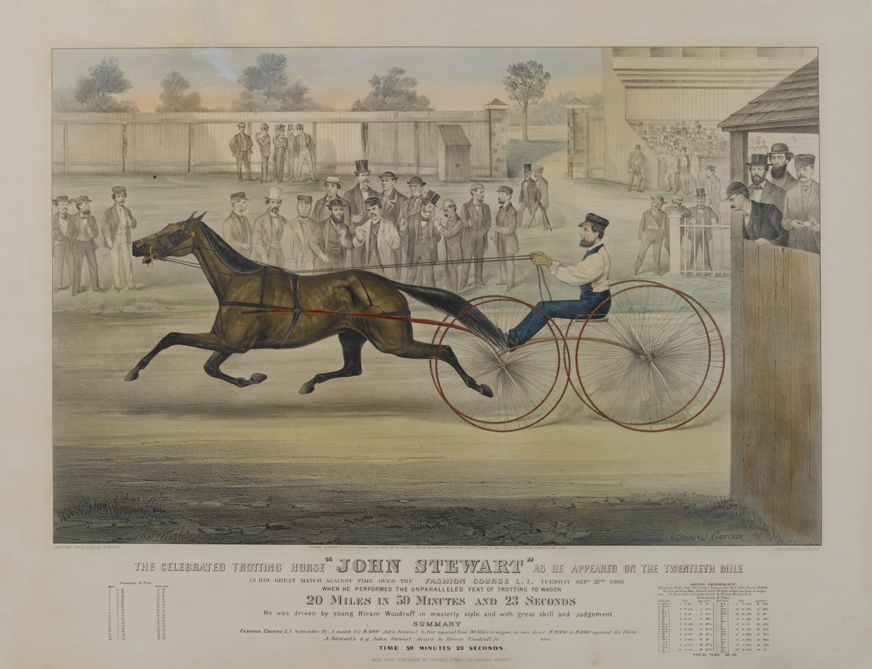 Le célèbre cheval trotteur John Stewart tel qu