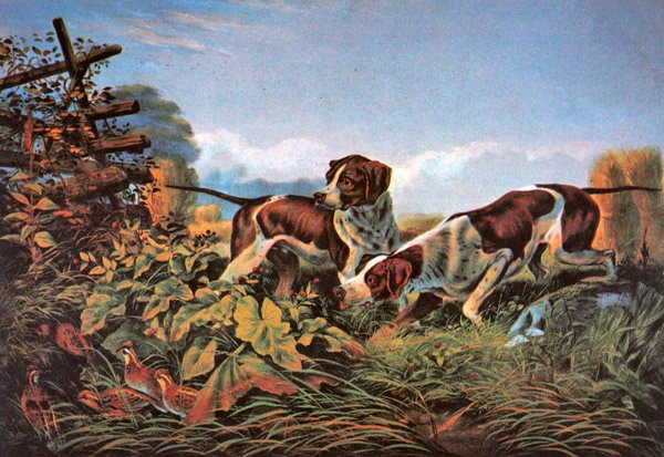 Sports de plein air américains : Sur un point - Currier and Ives
