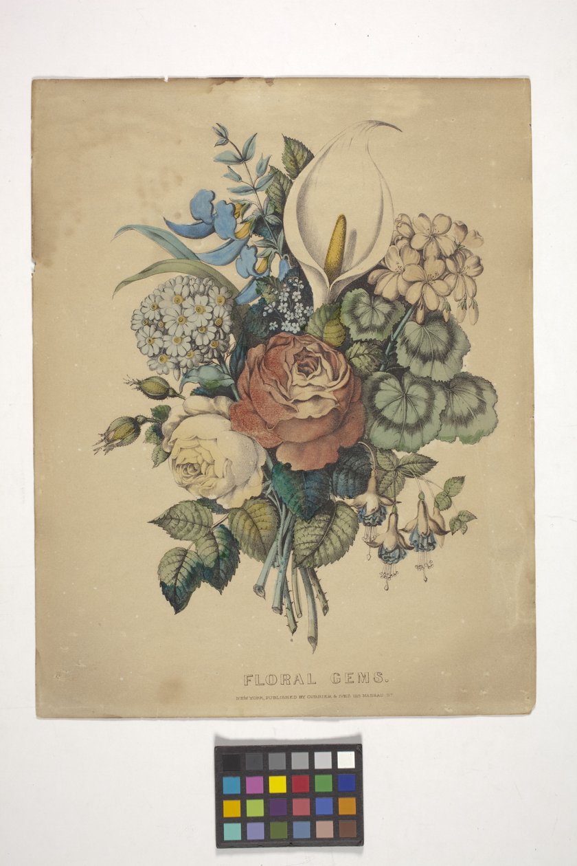 Gems floraux - N. and Ives J.M. (1824 95) Currier