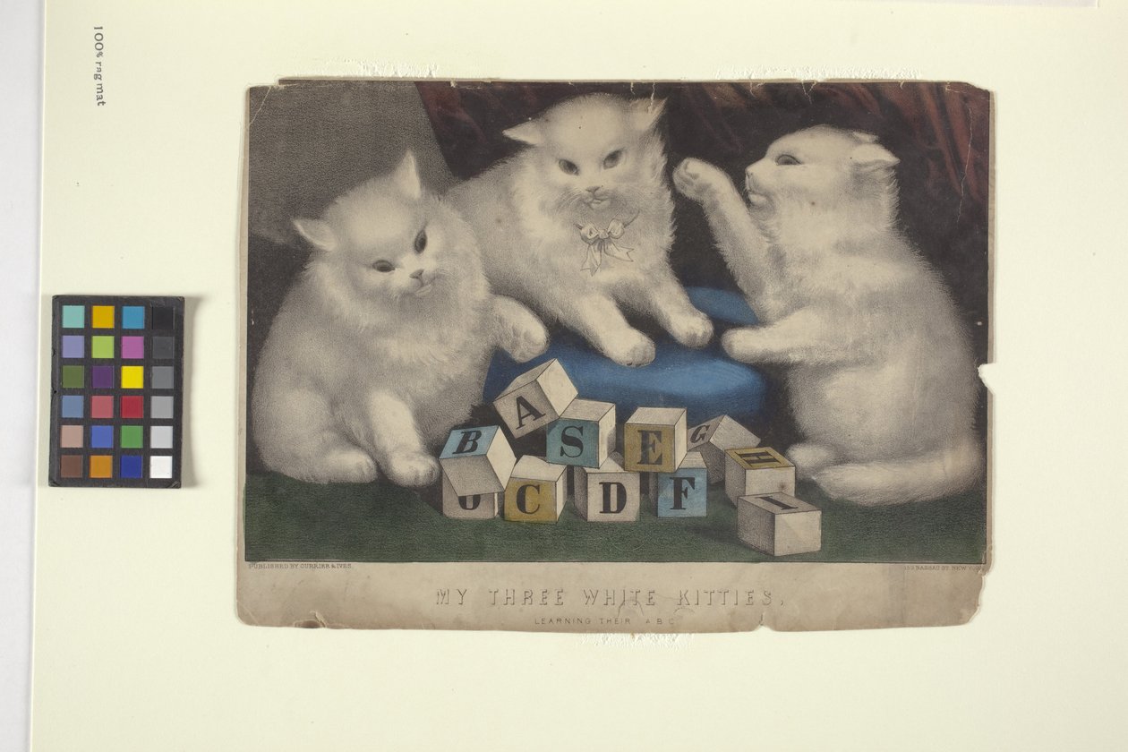 Mes trois chatons blancs - N. and Ives J.M. (1824 95) Currier