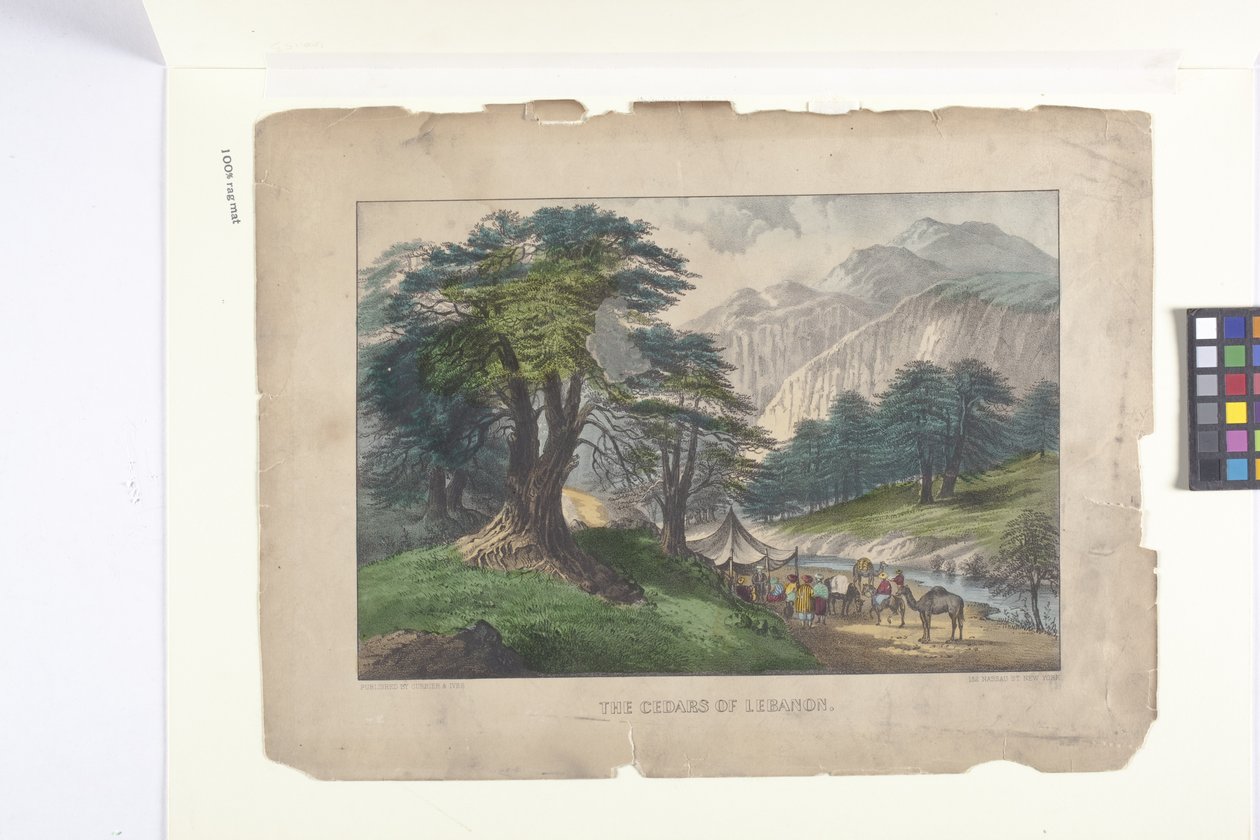 Les cèdres du Liban - N. and Ives J.M. (1824 95) Currier