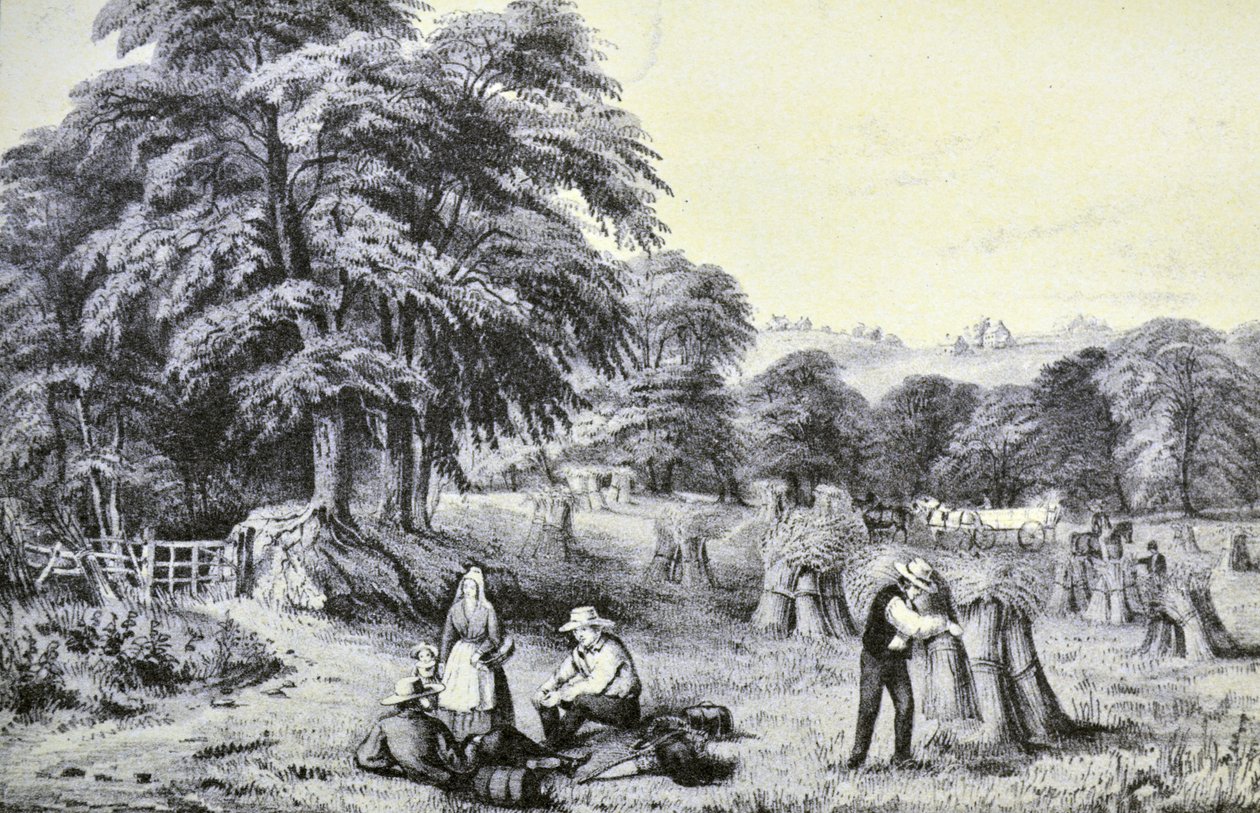 Récolte - N. and Ives, J.M. Currier