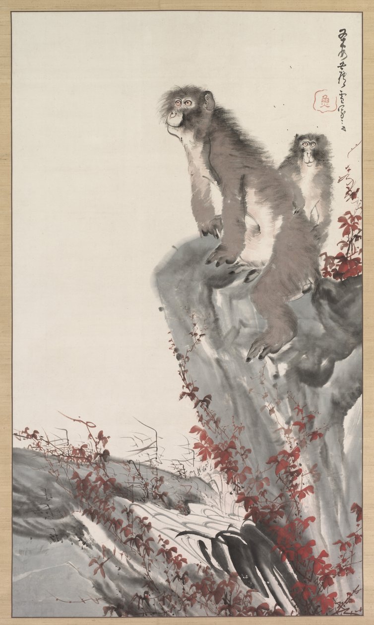 Singes près d