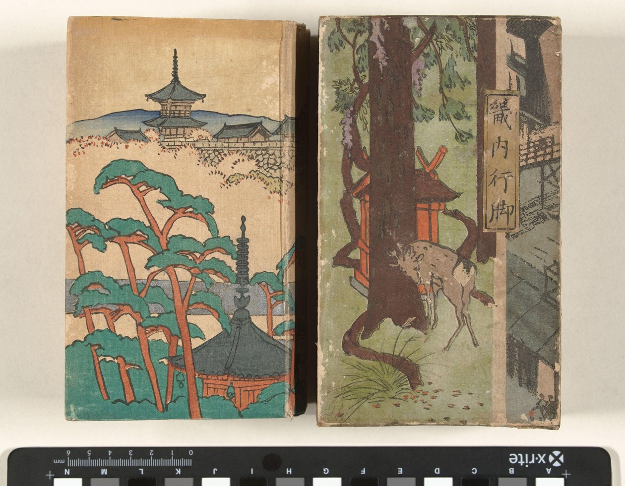 Voyage à pied dans la région de Kinai - Nakazawa Hiromitsu