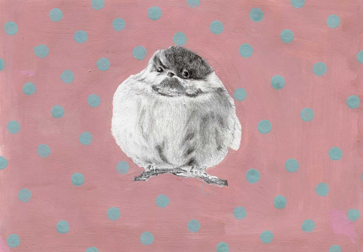 Petit paquet joufflu, 2014 - Nancy Moniz Charalambous