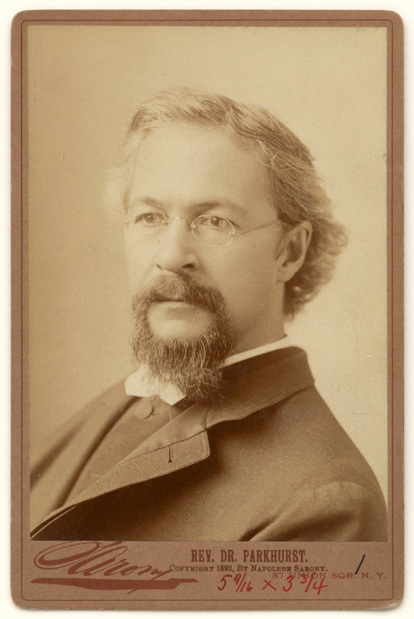 Charles Henry Parkhurst - Napoleon Sarony